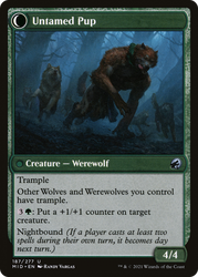Hound Tamer (MID-187) - Innistrad: Midnight Hunt: (Double Faced Transform) Foil