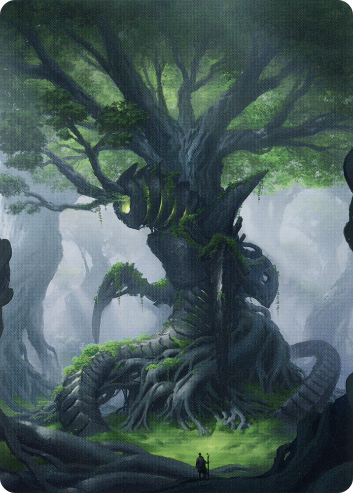 Forest // Forest (ABRO-053) - The Brothers' War Art Series (Borderless)
