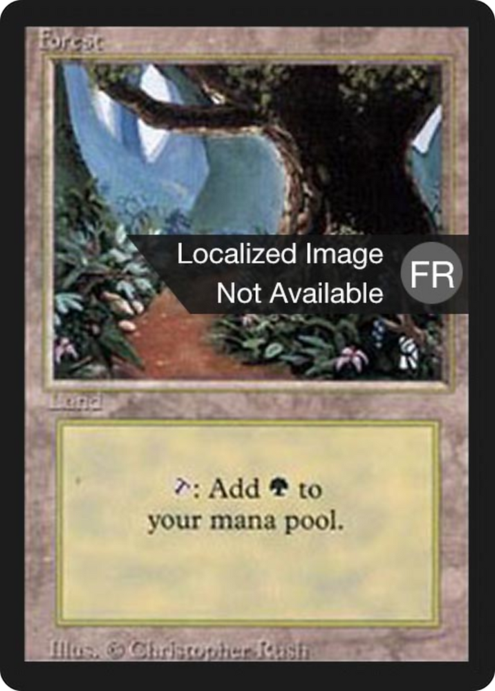 Forest (B) (FBB-305) - Foreign Black Border