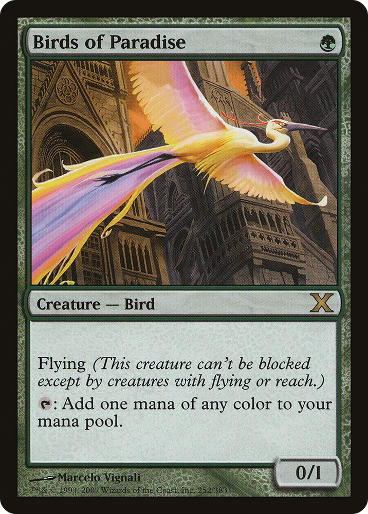 Birds of Paradise (10E-252) - Tenth Edition