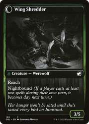 Bird Admirer (DBL-169) - Innistrad: Double Feature: (Double Faced Transform) Foil