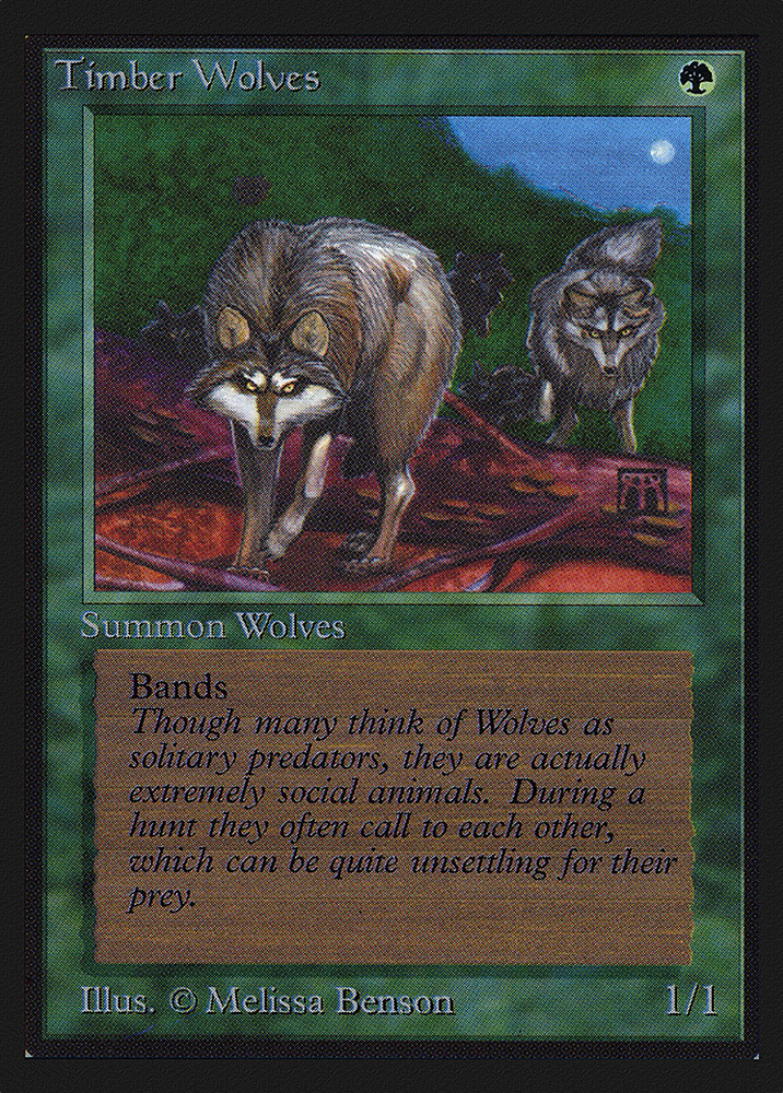 Timber Wolves (IE) (IED-220) - Intl. Collectors' Edition