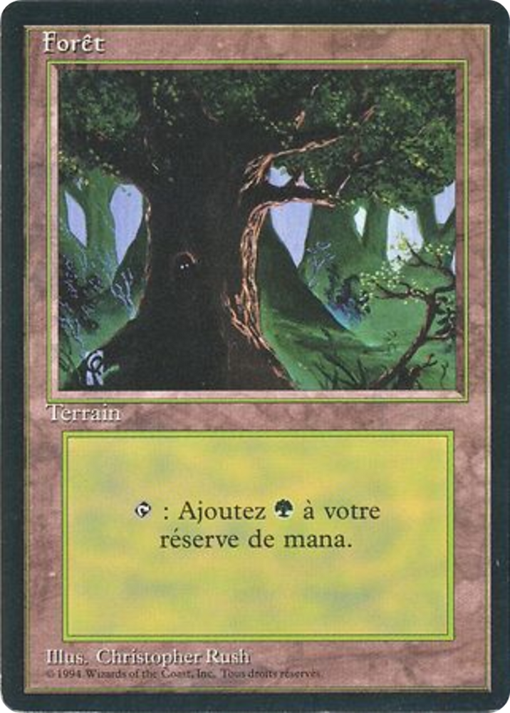 Forest (C) (FBB-306) - Foreign Black Border