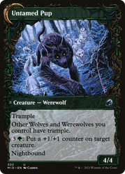 Hound Tamer (Showcase) (MID-302) - Innistrad: Midnight Hunt: (Showcase, Double Faced Transform) Foil