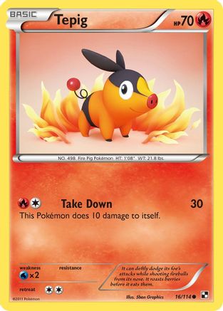Tepig (16) 016  Black and White - Common
