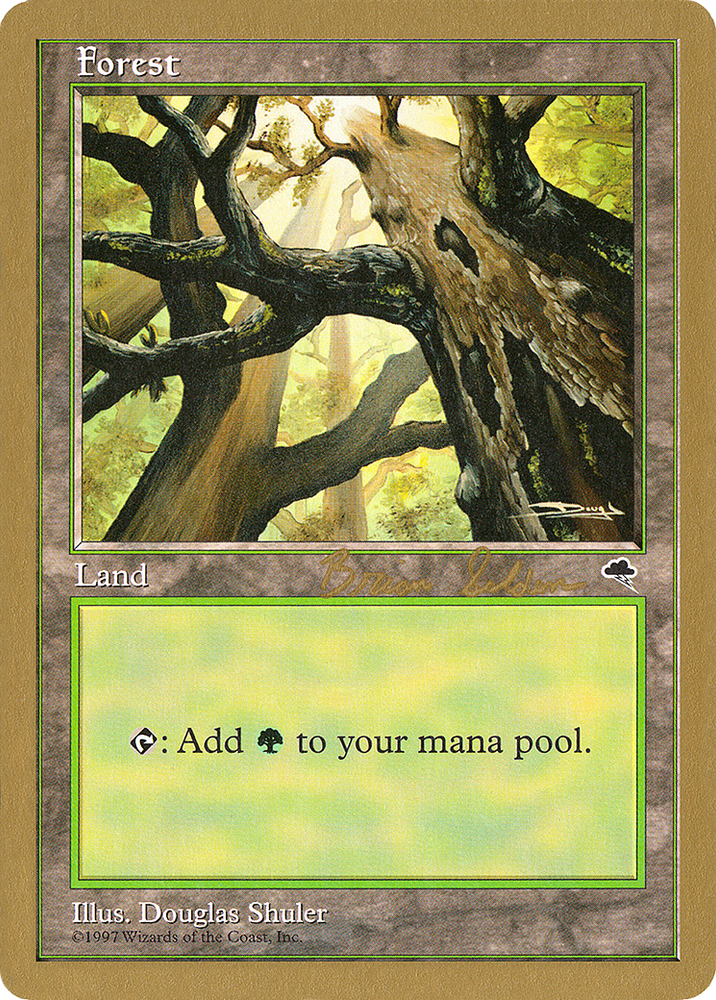 Forest (Skyward) - 1998 Brian Selden (TMP) (WCD-) - World Championship Decks 1998