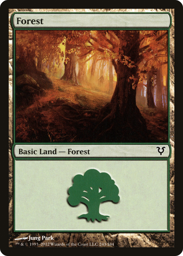 Forest (243) (AVR-243) - Avacyn Restored Foil