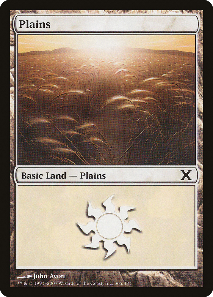 Plains (365) (10E-365) - Tenth Edition Foil