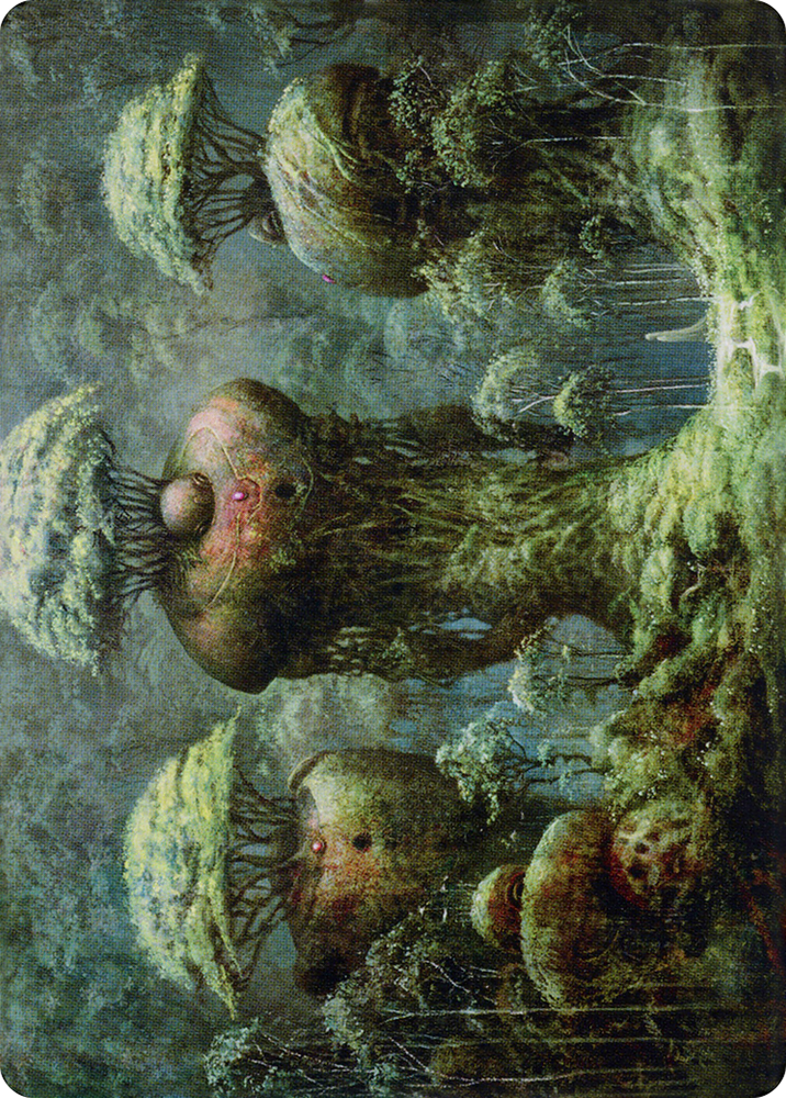 Forest // Forest (ADMU-065) - Dominaria United Art Series (Borderless)