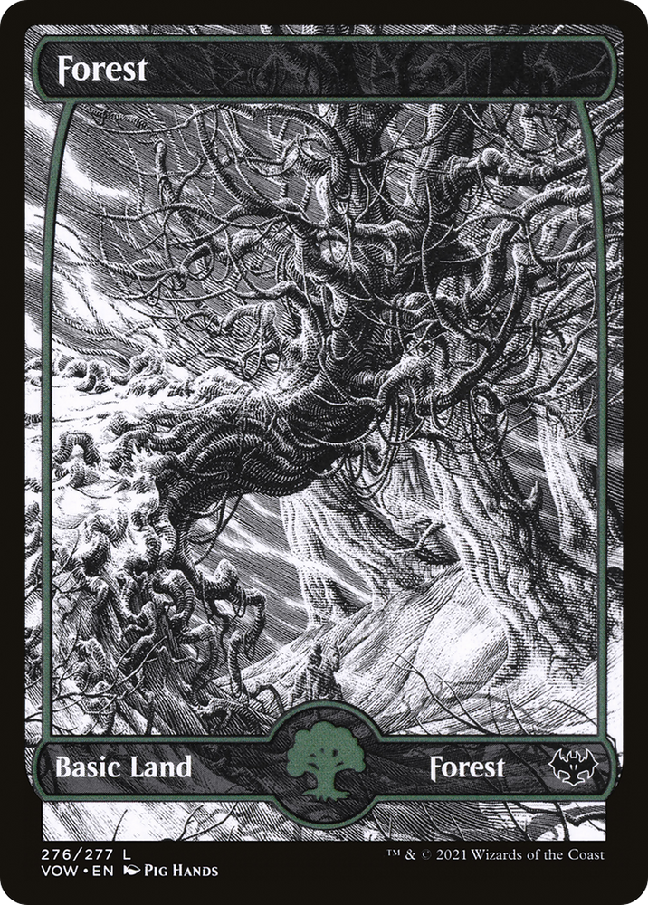 Forest (276) (VOW-276) - Innistrad: Crimson Vow: (Showcase) Foil